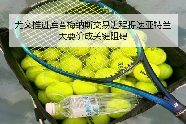 you-wen-tui-jin-ku-pu-mei-na-si-jiao-yi-jin-cheng-ti-su-ya-te-lan-da-yao-jia-cheng-guan-jian-zu-ai-2-351.jpg